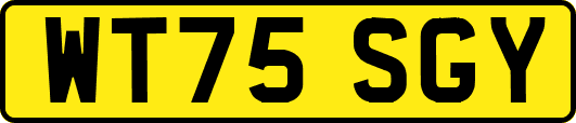 WT75SGY