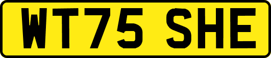 WT75SHE