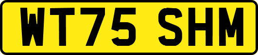 WT75SHM