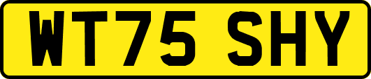 WT75SHY