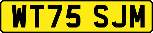 WT75SJM