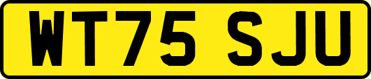 WT75SJU