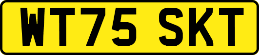 WT75SKT