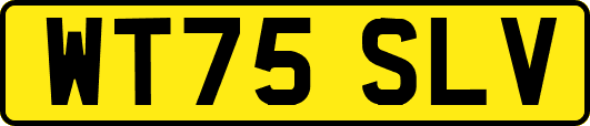 WT75SLV