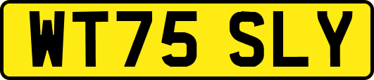 WT75SLY