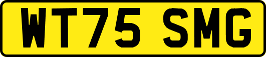 WT75SMG