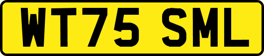 WT75SML