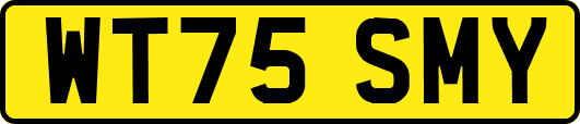 WT75SMY