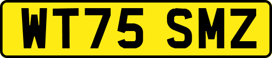 WT75SMZ