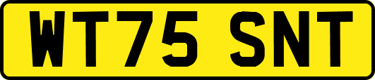 WT75SNT