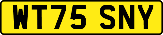 WT75SNY