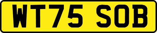 WT75SOB