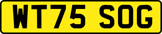 WT75SOG