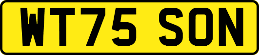 WT75SON