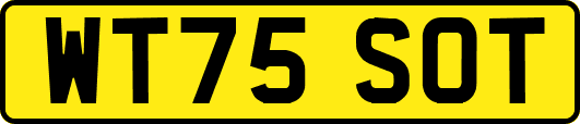 WT75SOT