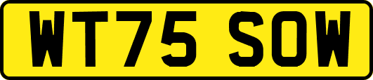WT75SOW