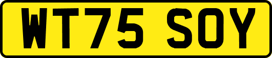 WT75SOY