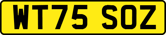 WT75SOZ