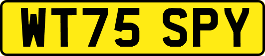 WT75SPY