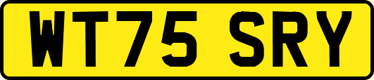 WT75SRY