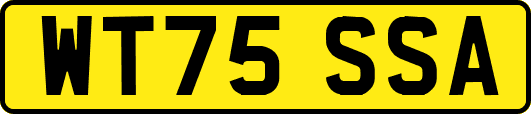 WT75SSA
