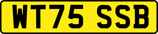 WT75SSB