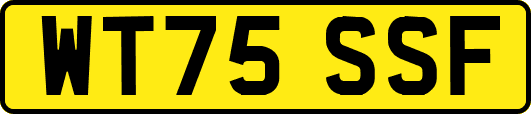 WT75SSF