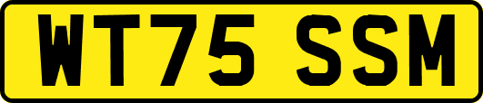 WT75SSM