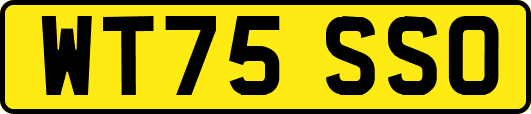 WT75SSO