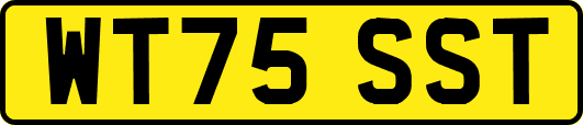 WT75SST