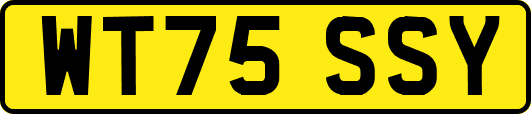 WT75SSY