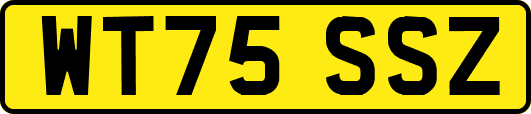 WT75SSZ