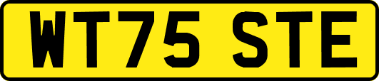 WT75STE