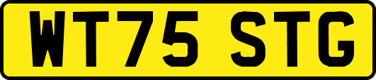 WT75STG