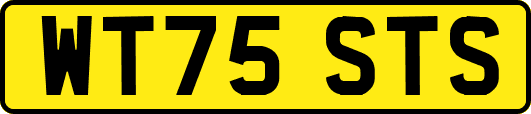 WT75STS