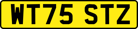 WT75STZ