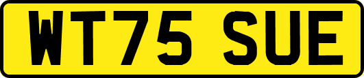 WT75SUE