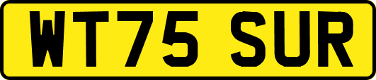 WT75SUR