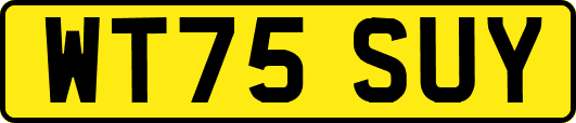WT75SUY