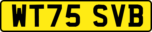 WT75SVB