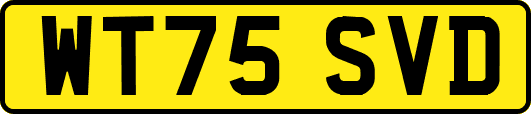 WT75SVD