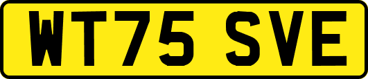WT75SVE