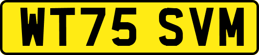 WT75SVM