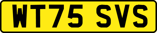 WT75SVS