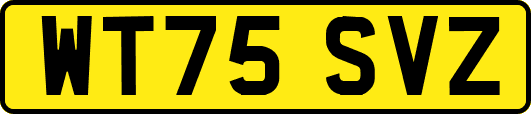 WT75SVZ