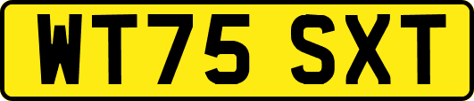 WT75SXT