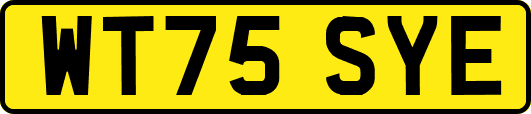 WT75SYE