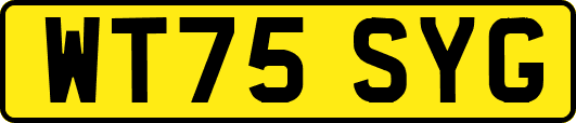 WT75SYG