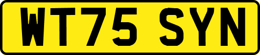 WT75SYN