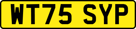 WT75SYP